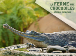 La Ferme Aux Crocodiles (E-Billets)