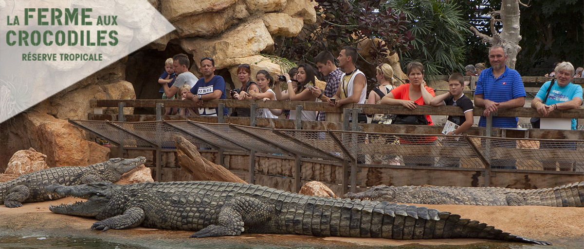 La Ferme Aux Crocodiles (E-Billets)