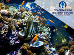 Seaquarium
