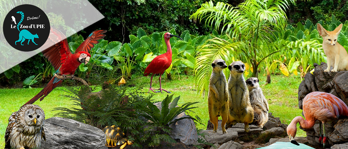 Zoo d'Upie