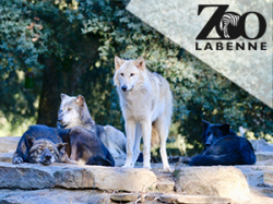 Zoo de Labenne - Landes